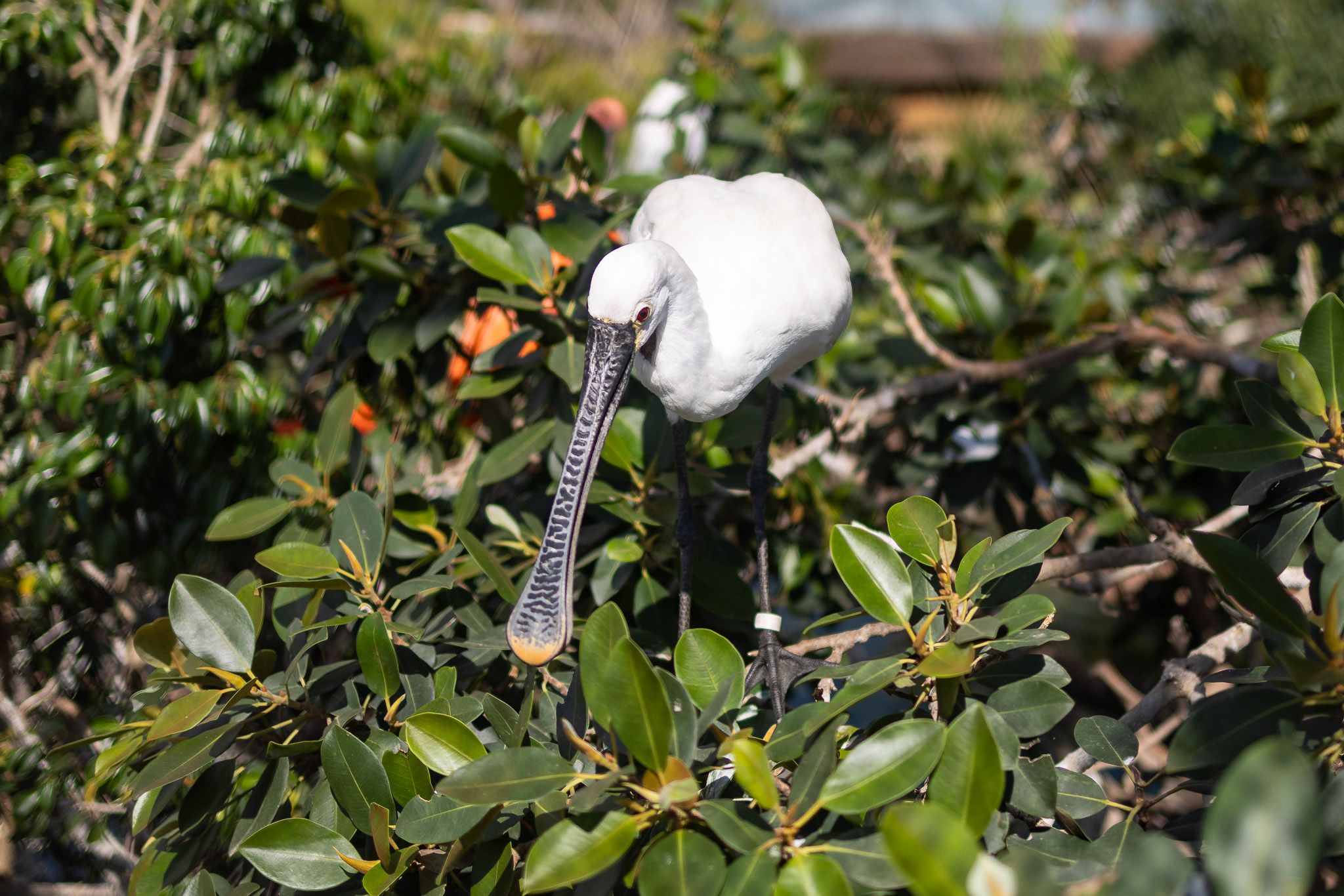 Ryan Stanikk Photography – Valencia, Spain