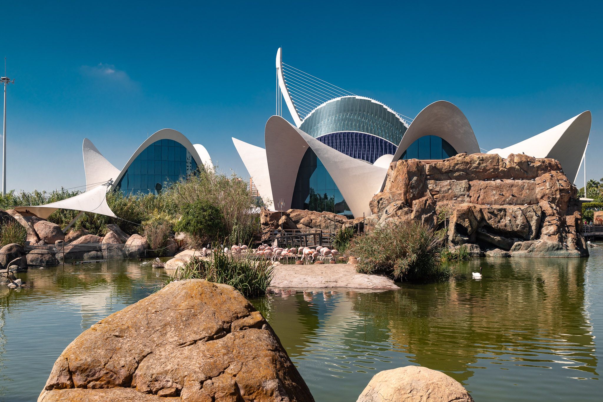 Ryan Stanikk Photography – Valencia, Spain